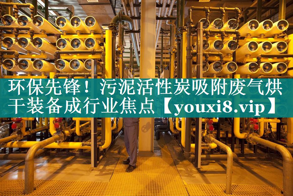 <strong>环保先锋！污泥活性炭吸附废气烘干装备成行业焦点</strong>