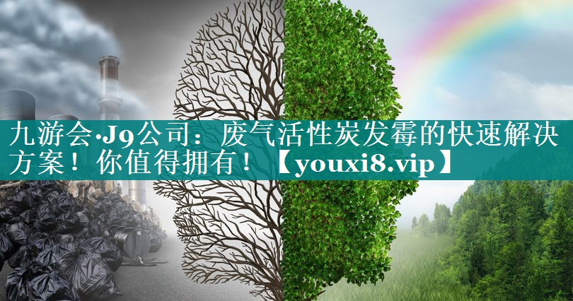 废气活性炭发霉的快速解决方案！你值得拥有！