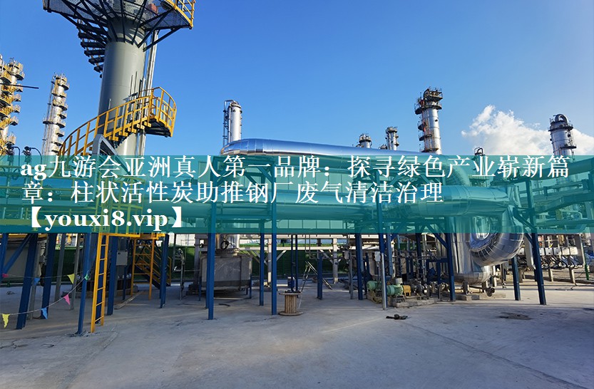 探寻绿色产业崭新篇章：柱状活性炭助推钢厂废气清洁治理