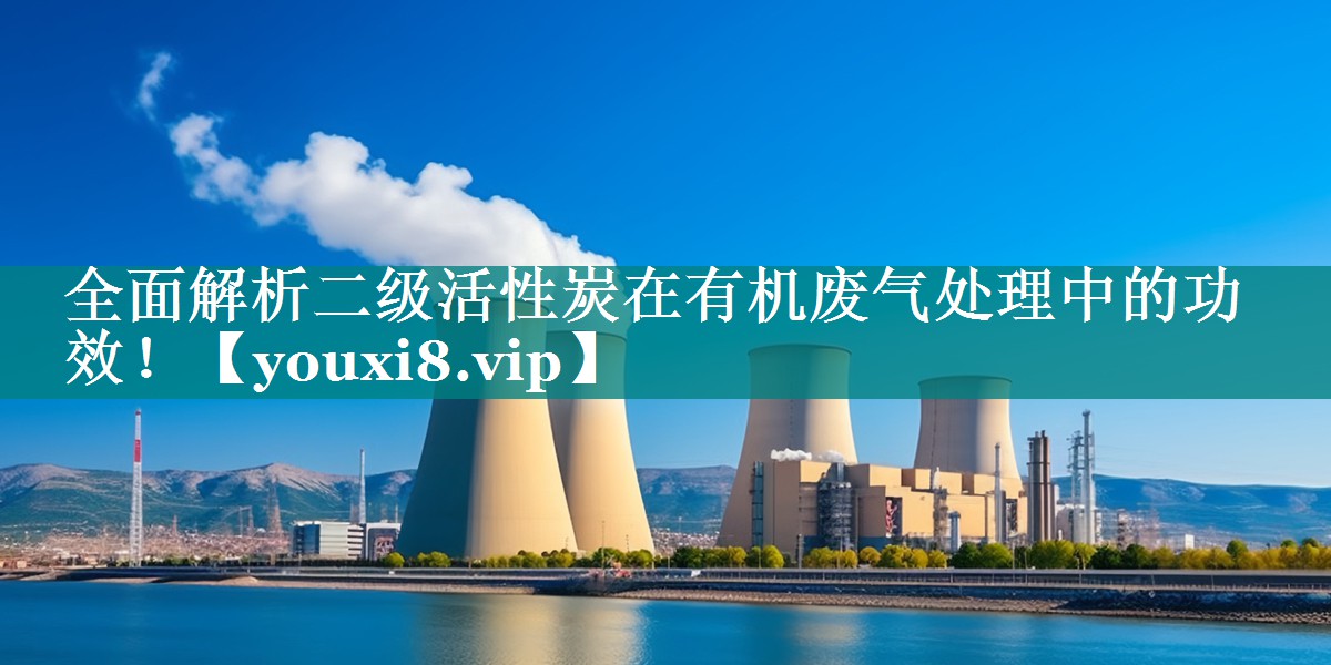 全面解析二级活性炭在有机废气处理中的功效！
