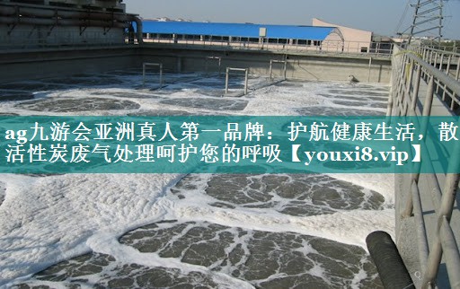 <strong>ag九游会亚洲真人第一品牌：护航健康生活，散装活性炭废气处理呵护您的呼吸</strong>