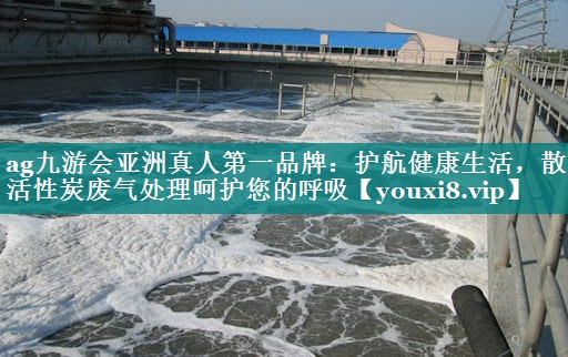 护航健康生活，散装活性炭废气处理呵护您的呼吸