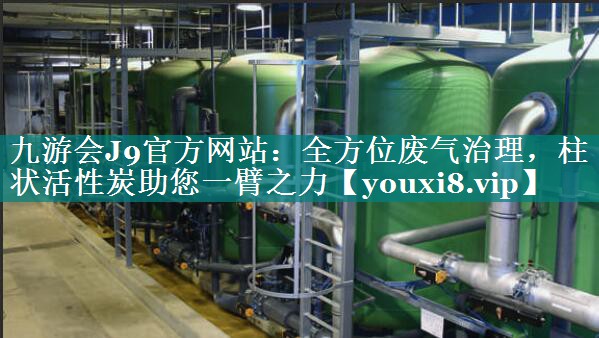 全方位废气治理，柱状活性炭助您一臂之力